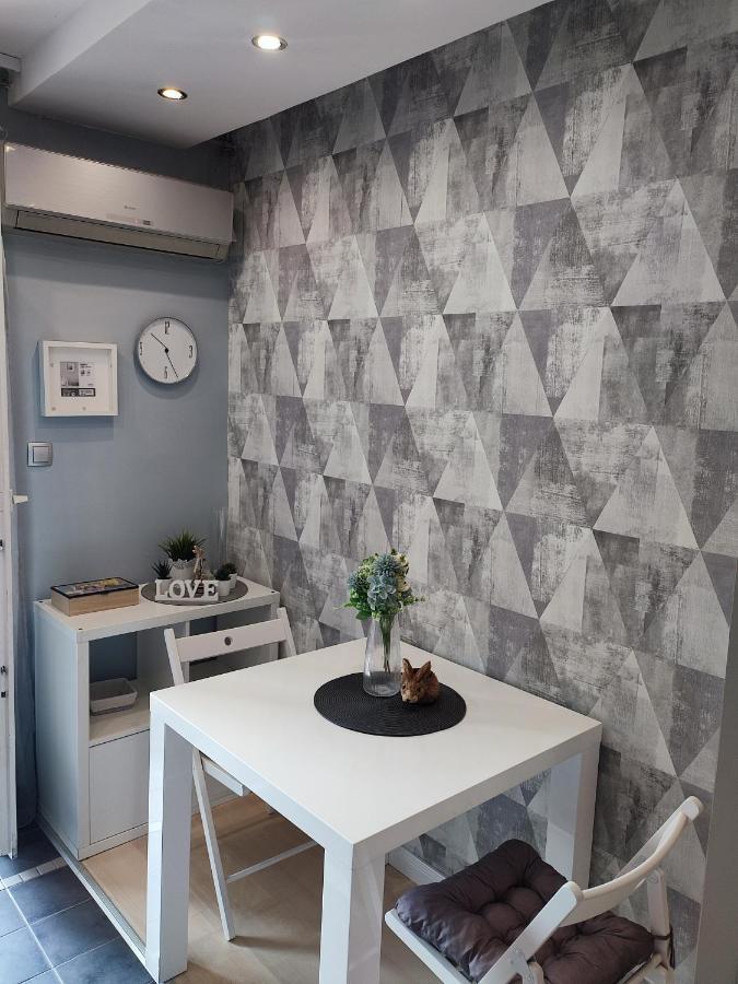 Center Danube Street Apartment Νόβι Σαντ Εξωτερικό φωτογραφία